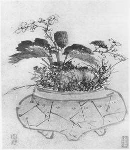 Album of Plants, Animals and Birds: Begonia image
