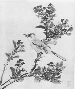 Album of Plants, Animals and Birds: Bird and Flowers image