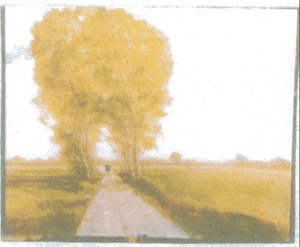 Amish Stone Road with Buggy image