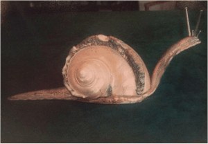 Buccellati Snail image