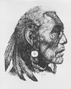 Cheyenne image