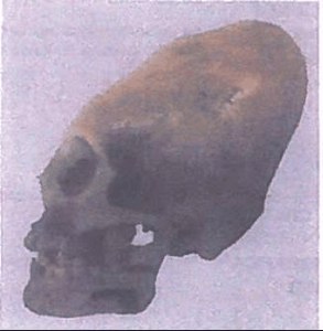 Deformed Nazca Skull image