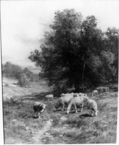Landscape with Sheep image