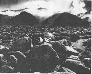 Mt. Williamson from Manzanar, California, 1944 image