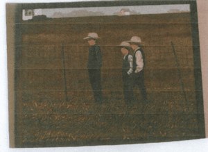 Three Amish Boys image
