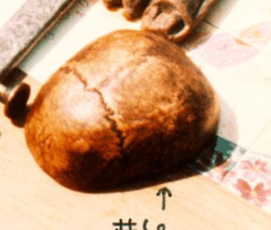 Tibetan prayer bowl made of a skull image