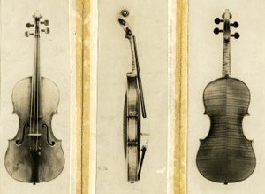 Tononi Violin image